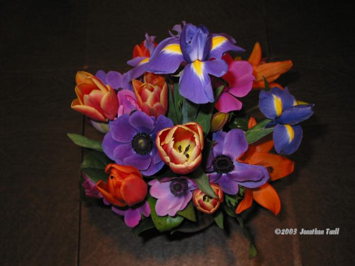 Arrangement.jpg