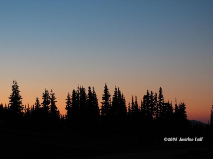 EvergreenSunrise.jpg