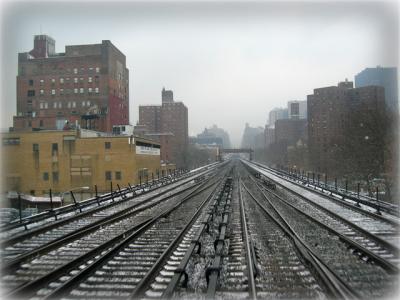 Still in Harlem