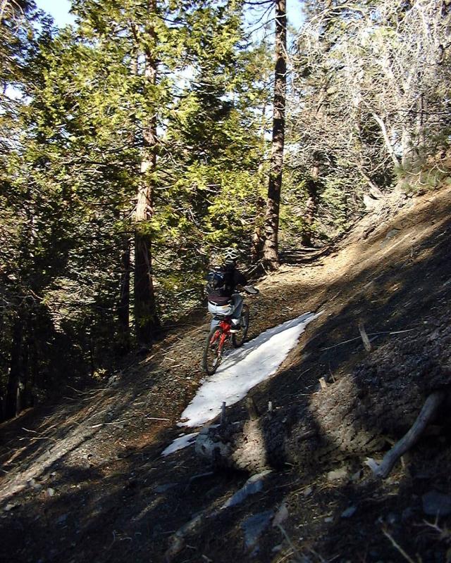 On the Jackson Lake Trail