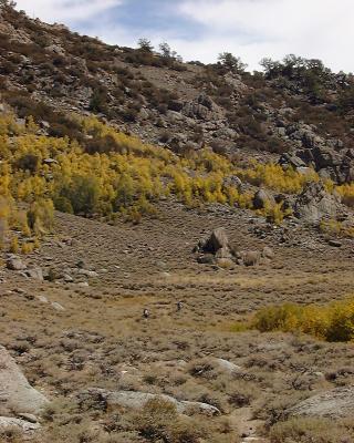 Cottonwood Creek Trail