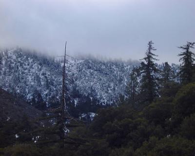 Snow on Pacifico Mountain