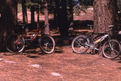 Resting at McGill Campground, Mount Pinos