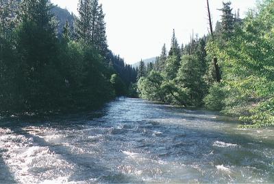 The Kern River at Nine Mile Creek