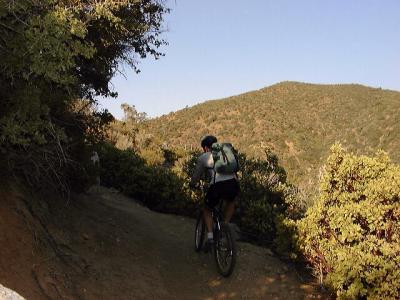 Climbing Switchbacks