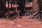 Resting at McGill Campground, Mount Pinos