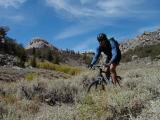 Tom In Cottonwood Basin