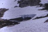 Calving Snow