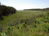 Lawrencetown Abandoned Railroad Trail.