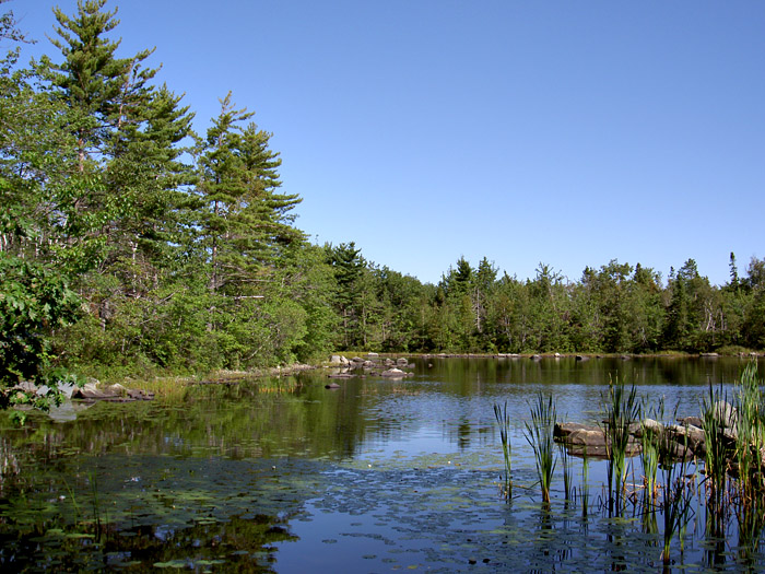 Shubie Park.