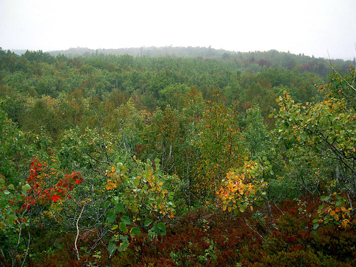 Shubie Park.