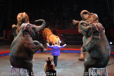 Circus 05 065 copy.jpg