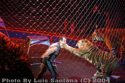 Circus 05 103 copy.jpg