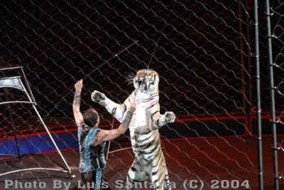 Circus 05 139 copy.jpg