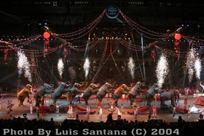 Circus 05 195 copy.jpg