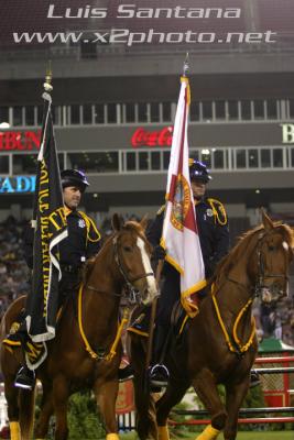 Tampa Police Mounted Unit