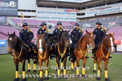 Tampa Police Mounted Unit