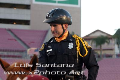 Tampa Police Mounted Unit