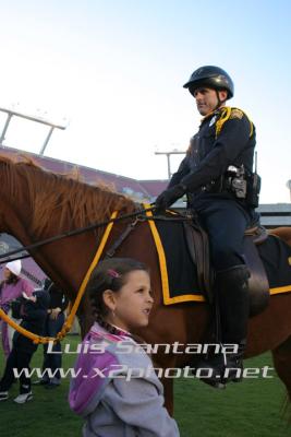Tampa Police Mounted Unit