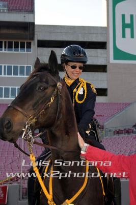 Tampa Police Mounted Unit
