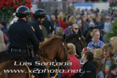 Tampa Police Mounted Unit