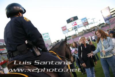 Tampa Police Mounted Unit