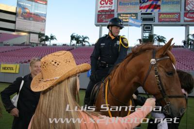 Tampa Police Mounted Unit