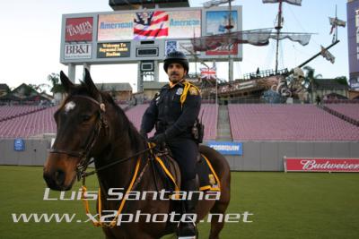 Tampa Police Mounted Unit