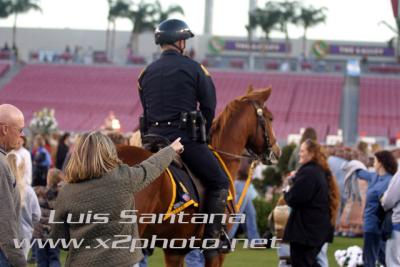 Tampa Police Mounted Unit