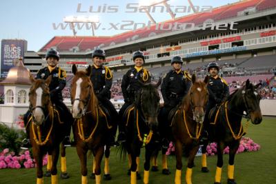 Tampa Police Mounted Unit