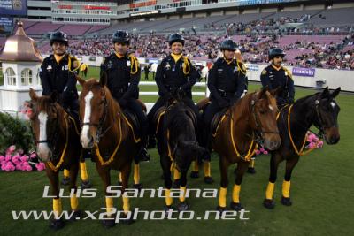 Tampa Police Mounted Unit