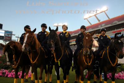 Tampa Police Mounted Unit