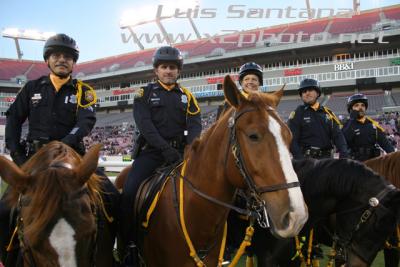 Tampa Police Mounted Unit