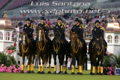 Tampa Police Mounted Unit