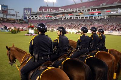 Tampa Police Mounted Unit