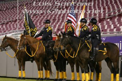 Tampa Police Mounted Unit