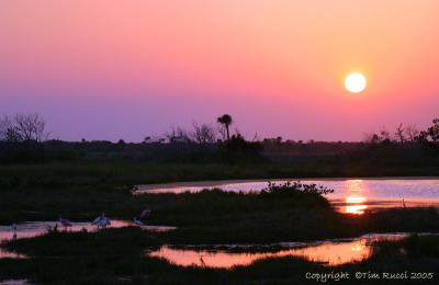30971 - Sunset over Merrit Island National Wildlife Refuge