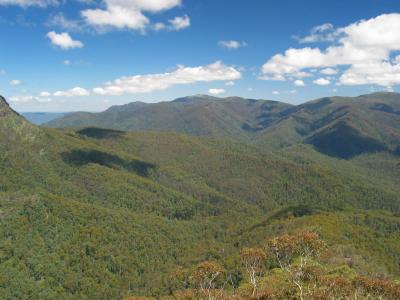 View of Mount Buller