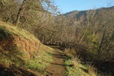 January morning walk to Buddha waterfall
