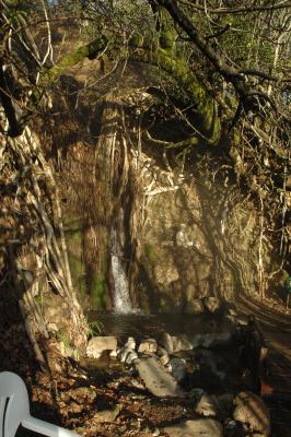 January morning walk to Buddha waterfall