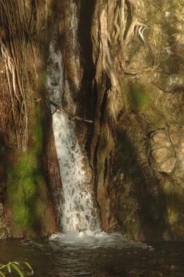 January morning walk to Buddha waterfall