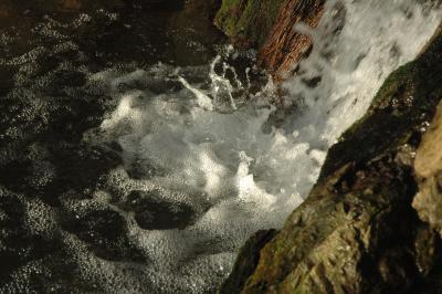 January morning walk to Buddha waterfall