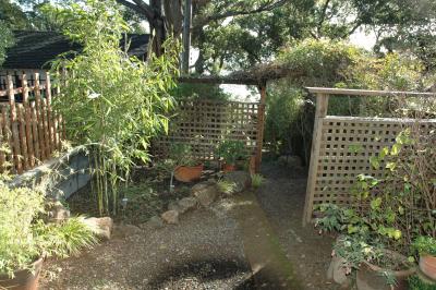 bayside garden in the morning
