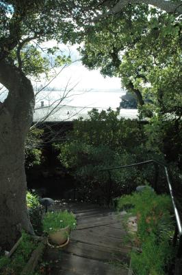 bayside garden in the morning