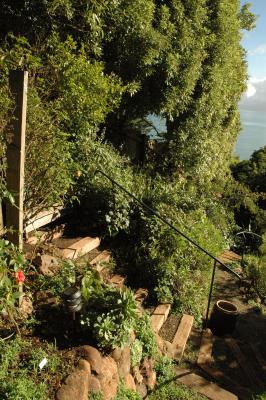 bayside garden in the morning