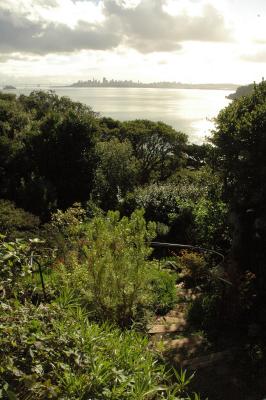 bayside garden in the morning