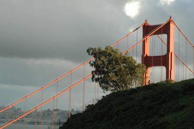bridge January 1