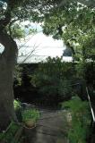 bayside garden in the morning