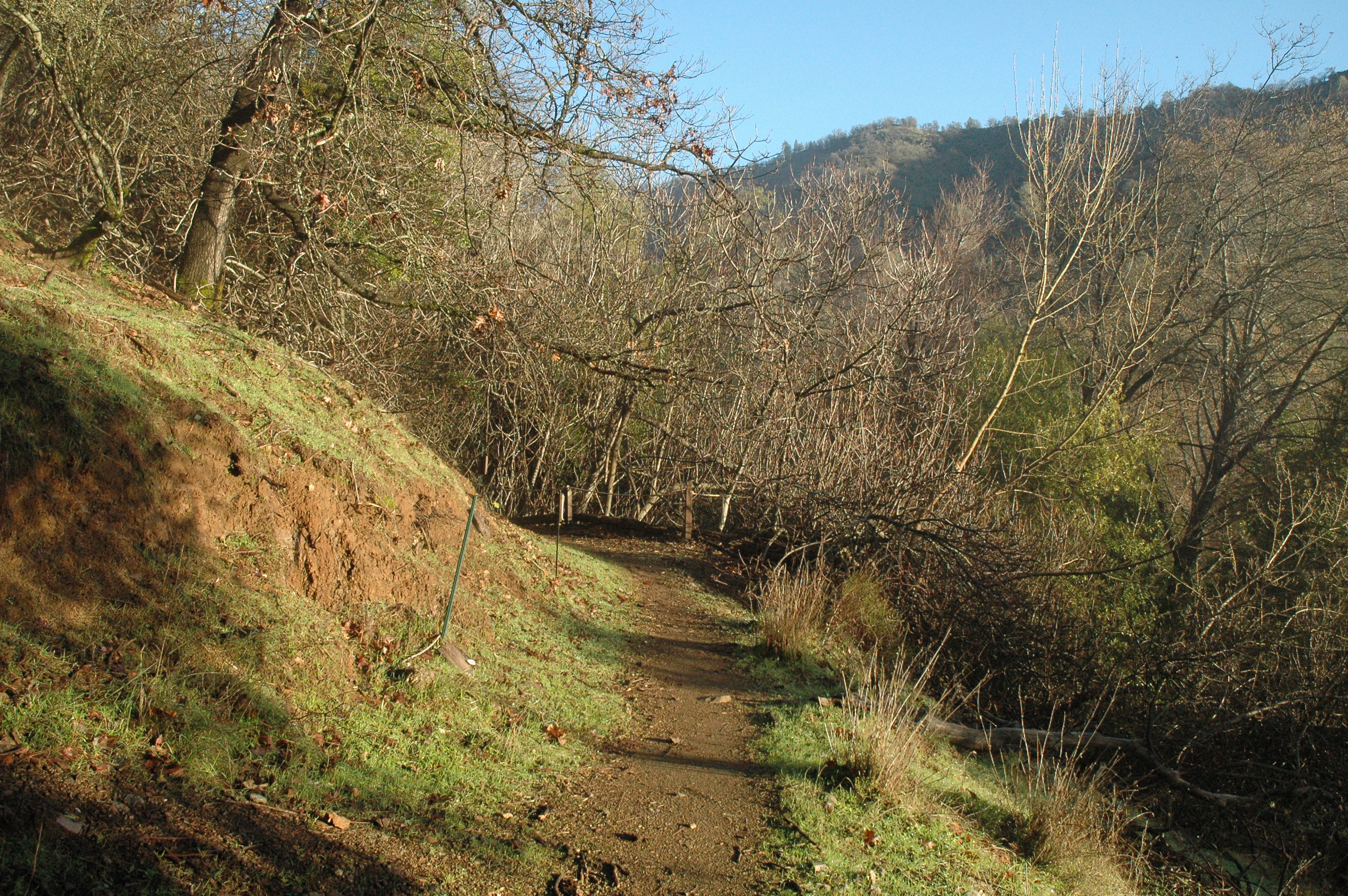 January morning walk to Buddha waterfall