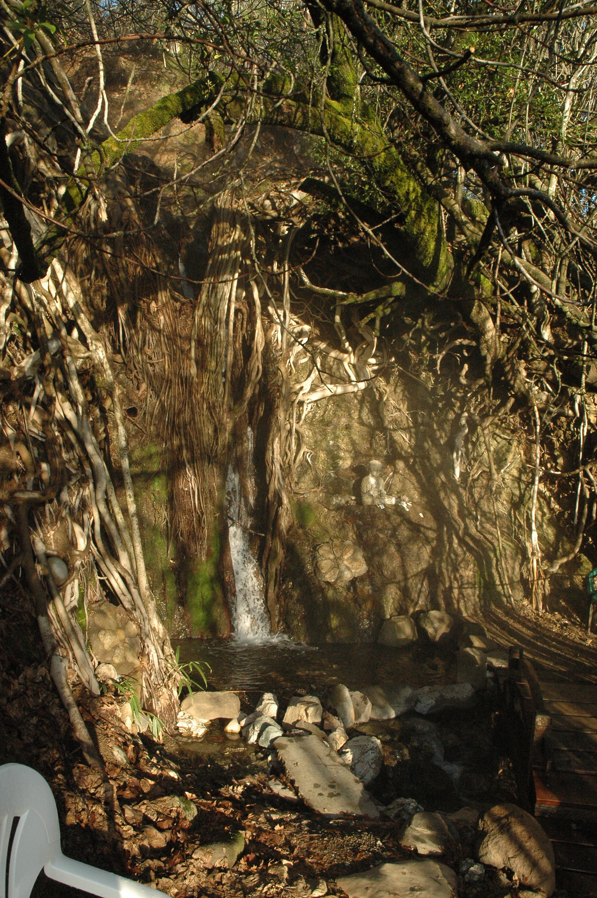 January morning walk to Buddha waterfall
